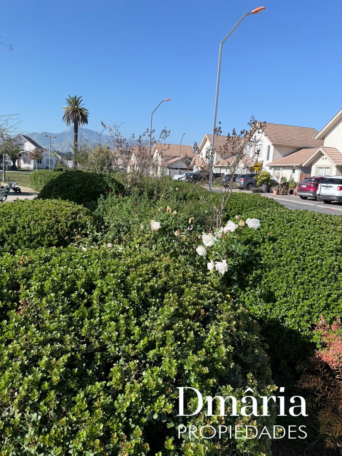 WhatsApp Image 2025-07-08 at 10.24.21 PM (2)_68705916caec0.jpeg